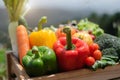 Crate filled with a large selection of healthy fresh organic fruits and vegetables shot. Royalty Free Stock Photo