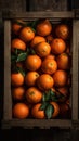 a crate filled with lots of oranges with green leaves on top of it and a wooden box behind it with leaves on top of it Royalty Free Stock Photo