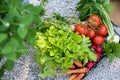 Crate full of freshly harvested vegetables in a garden. Homegrown bio produce concept. Top view. Royalty Free Stock Photo