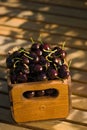 Crate of organic cherries Royalty Free Stock Photo