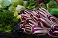 Crate of radicchio di treviso purple salad at an Italian farmers market. Fresh purple radicchio on display at the farmers market.