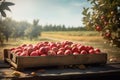 Crate Of Red Apples On Wooden Harvest Table. AI generated Royalty Free Stock Photo