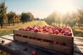 Crate Of Red Apples On Wooden Harvest Table. AI generated Royalty Free Stock Photo