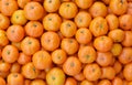 Crate of ripe tangerines.