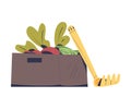 Crate with Ripe Vegetables and Rake as Seasonal Harvesting and Yield Vector Illustration