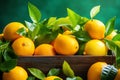 A crate of vibrant lemons and oranges, mediterranean food life style Authentic living