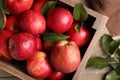 Crate with wet red apples and green leaves on table, top view Royalty Free Stock Photo