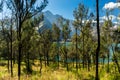 Crater Forest, Lake and Summit of Volcano "Gunung Rinjani"