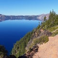 Crater Lake Forest wall