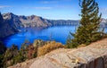 Crater Lake Squirrel Royalty Free Stock Photo