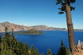 Crater Lake, tree Royalty Free Stock Photo