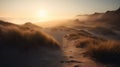 Crater With Sand Dune, Beach Grass, Foggy Shoreline, Soft Muted Waves, And Sunrise Royalty Free Stock Photo