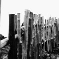 Crater of Tangkuban Perahu in Bandung, Indonesia Royalty Free Stock Photo