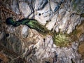 Cratered patterns on ocean rockshelf