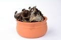 Craterellus cornucopioides in clay bowl