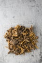 Craterellus cornucopioides, or horn of plenty, trumpet chanterelle, edible mushroom, pattern Royalty Free Stock Photo