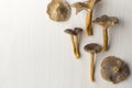 Craterellus cornucopioides, or horn of plenty, trumpet chanterelle mushroom, edible on wooden background Royalty Free Stock Photo