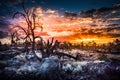 Craters of the Moon Devil`s Orchard at Sunrise Royalty Free Stock Photo