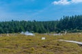 Craters of the moon - a geothermal landscape at New Zealand Royalty Free Stock Photo