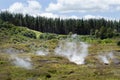 Craters of the Moon, Lake Taupo, New Zealand Royalty Free Stock Photo