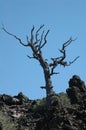 Craters of the Moon, Idaho, USA