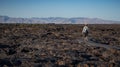 Craters of the Moon National Monument, Idaho Royalty Free Stock Photo