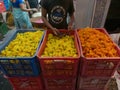 Crates filled with marigold flowers at the flower market, Dadar, Mumbai