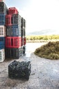 Crates with red grape