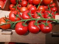 Crates Of Tomato. Packing products for export Royalty Free Stock Photo