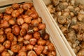 Crates of tulip bulbs