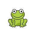 Cratoon frog flat style illustration