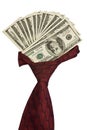 Cravat with dollars. Royalty Free Stock Photo