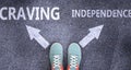 Craving and independence as different choices in life - pictured as words Craving, independence on a road to symbolize making