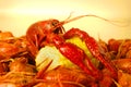 Crawfish Boil Royalty Free Stock Photo