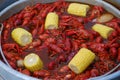 Crawfish boil Royalty Free Stock Photo