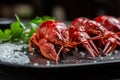 Crawfish. Boiled red crayfish or crawfish with herbs, Food recipe background. Close up