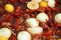 Crawfish Boiling Royalty Free Stock Photo