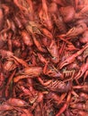 Crawfish in a boiling pot Royalty Free Stock Photo