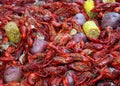 Crawfish Corn Potatoes Royalty Free Stock Photo