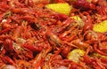 Crawfish and Corn Spreadout Royalty Free Stock Photo