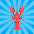 Crawfish or Crawdads, Freshwater Lobster Yabbies Royalty Free Stock Photo