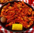 Crawfish Crayfish Cajun Seafood Boil Royalty Free Stock Photo