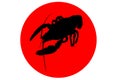 Crawfish Label Crawfish Silhouette, Crayfish Icon, Lobster Sign, Crawfish Symbol Vector Illustration .