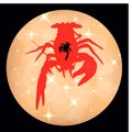 Crawfish Label Shiny Background Crawfish Silhouette, Crayfish Icon, Lobster Sign, Crawfish Symbol Vector Illustration .