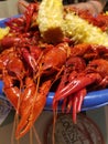 Crawfish Leftovers Royalty Free Stock Photo