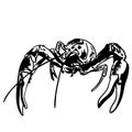 Crawfish vector eps Hand drawn, Vector, Eps, Logo, Icon, crafteroks, silhouette Illustration for different uses Royalty Free Stock Photo