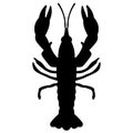 Crawfish vector eps Hand drawn, Vector, Eps, Logo, Icon, crafteroks, silhouette Illustration for different uses