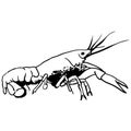 Crawfish vector eps Hand drawn, Vector, Eps, Logo, Icon, crafteroks, silhouette Illustration for different uses Royalty Free Stock Photo
