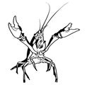 Crawfish vector eps Hand drawn, Vector, Eps, Logo, Icon, crafteroks, silhouette Illustration for different uses Royalty Free Stock Photo