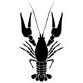 Crawfish vector eps Hand drawn, Vector, Eps, Logo, Icon, crafteroks, silhouette Illustration for different uses